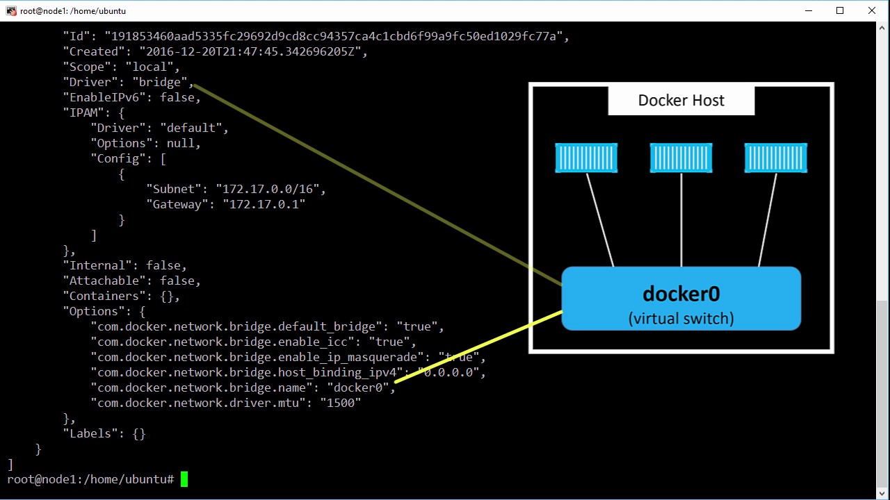 Docker host network manager
